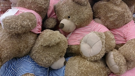 Cuddly teddy bearsの素材
