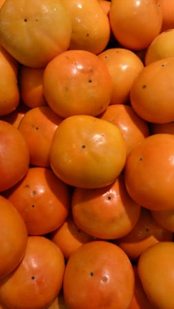 Shiny juicy persimmonsの素材