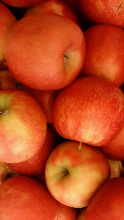 Juicy applesの素材