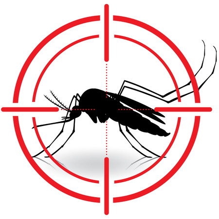 Nature, Aedes aegypti mosquitoes with stilt target. sights signal. Ideal for informational and institutional related sanitation and careのイラスト素材