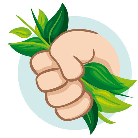 Hands and collecting leaves and ingredients holding. Ideal for informational and institutional catalogsのイラスト素材