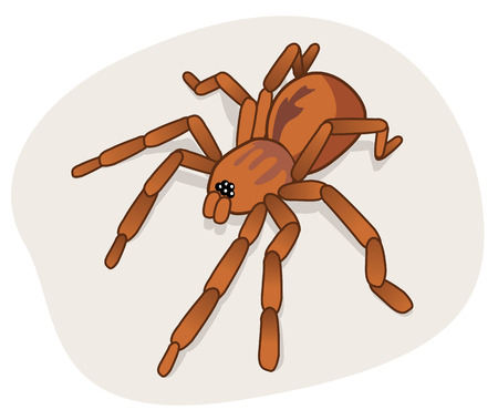 Spider mitesのイラスト素材