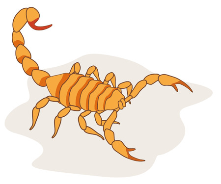 Illustration of scorpion arachnid insect. Ideal for etymology and educational materialsのイラスト素材
