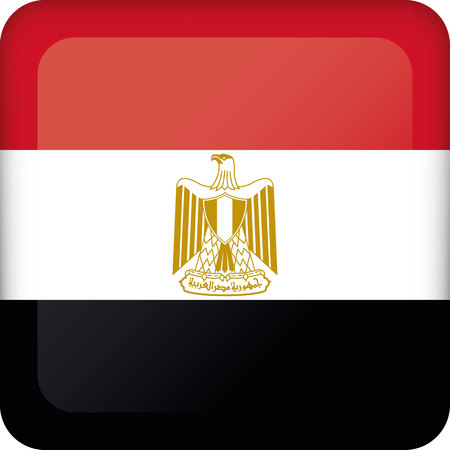 Flag of Egypt. Ideal for catalogs of institutional materials and geographyのイラスト素材
