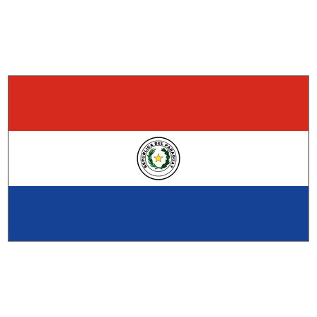 Illustration flag of Paraguay. Ideal for catalogs of institutional materials and geographyのイラスト素材