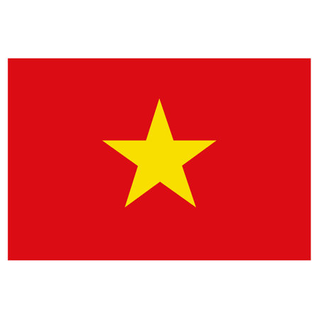 Icon representing Vietnam flag. Ideal for catalogs of institutional materials and geographyのイラスト素材