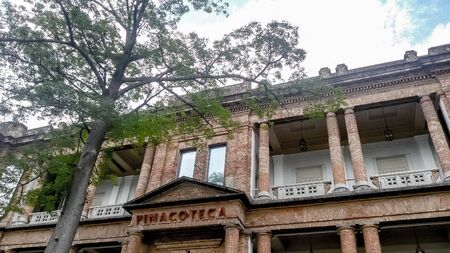 Pinacoteca behind the trees on a bright day | Pinacoteca behind the trees on a bright dayの写真素材