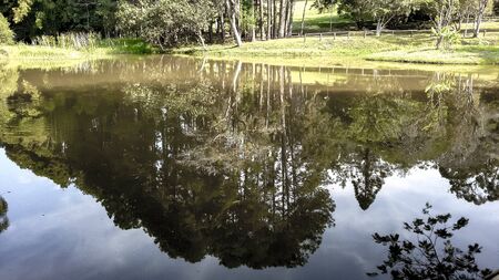 Reflection of trees and blue sky in water | Reflection of trees and blue sky in water