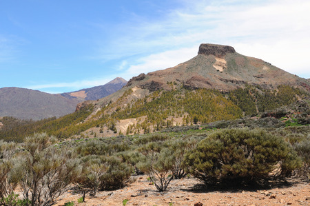 El Teide national park at Tenerife (Spain). Typical volcanic landscape and vegetation.の写真素材