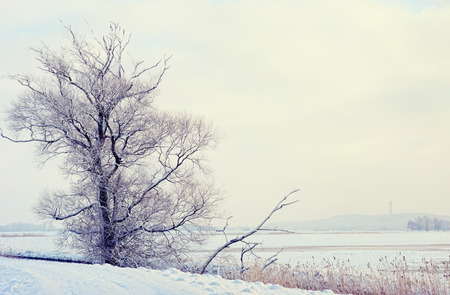 Winter landscape on the Havel River (Germany). Havelland TV tower of Rhinow in background.の写真素材
