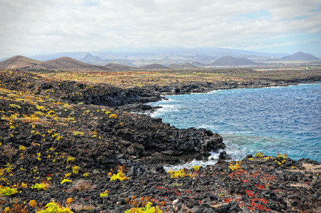 Tenerife. Landscape of montana amarilla region.の写真素材
