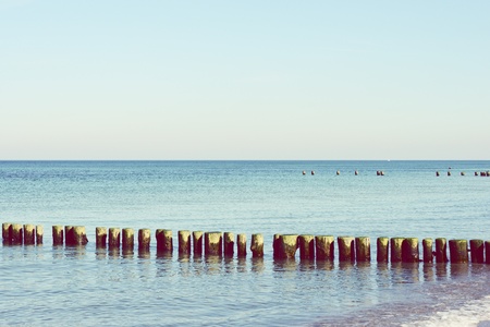 Beach landscape of Darss peninsula (Mecklenburg-Vorpommern)の写真素材