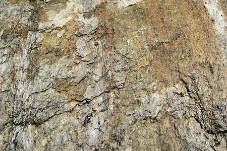 natural full frame background rock