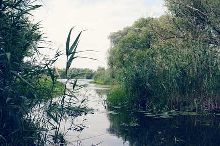 Havel river landscape with old willow trees in summertime. Havelland, Germany. Vintage retouch of...