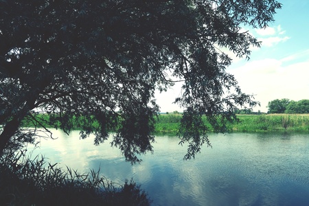 Havel river landscape with old willow trees in summertime. Havelland, Germany. Vintage retouch of image.の写真素材
