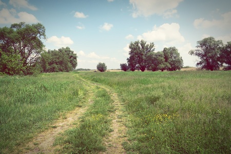 Havel river landscape at summer time (Havelland, Germany). Vintage retouch of imageの写真素材