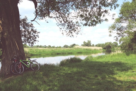 Havel river landscape with old willow trees in summertime. Havelland, Germany. Vintage retouch of image. cycles on willow treeの写真素材