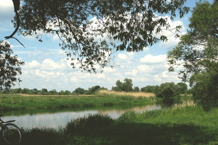 Havel river landscape with old willow trees in summertime. Havelland, Germany. Vintage retouch of image. cyles on willow treeの写真素材