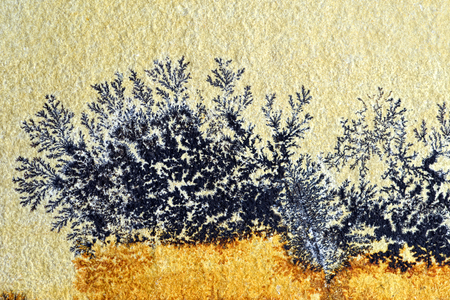 Dendrite in limestone rock. found in solnhofen (Germany)