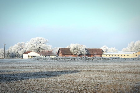 rime frost landscape at farm field in morning hours. Havelland (Brandenburg - Germany).の写真素材