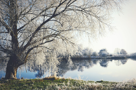 hoarfrost landscape on Havel River (Havelland, Germany).