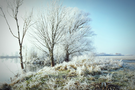hoarfrost landscape on Havel River (Havelland, Germany).の写真素材