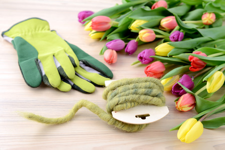 bunch of colorful tulips on white table with space. springtime. gardening and handcraft tools like gloves.の写真素材