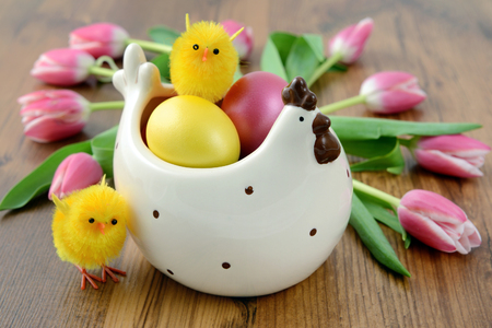 Easter eggs in chick shape cup with small chickens and bunch of pink tulips wooden background.の写真素材