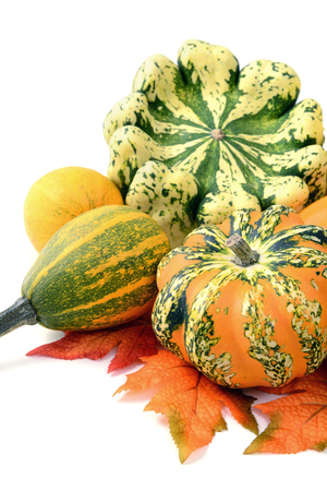 mini pumpkins on isolated white background. Halloween.の写真素材