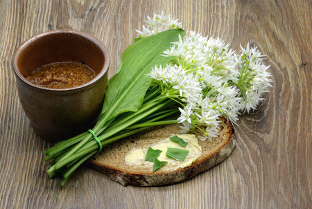 fresh ramson wild garlic leaves and butter bread on table. pot with mustard spice aside.の写真素材