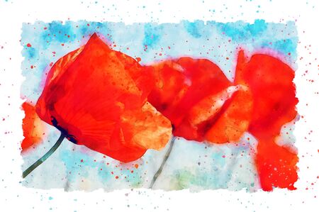 Watercolor painting of detail poppy flower blossom in summer time. frame with dots.の写真素材