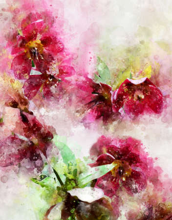 Watercolor painting of pink marsh orchid (Dactylorhiza majalis)の写真素材