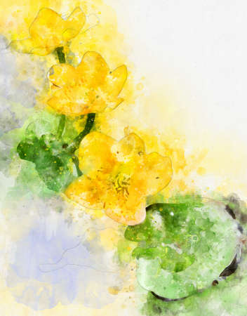 Watercolor painting of pink marsh orchid (Dactylorhiza majalis)の写真素材