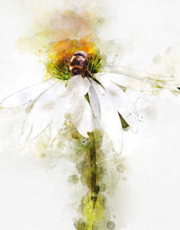 Watercolor painting of pink marsh orchid (Dactylorhiza majalis)の写真素材