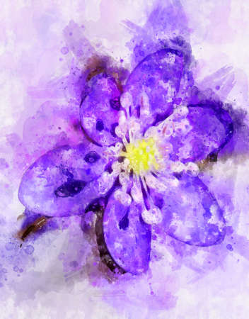 Watercolor painting of pink marsh orchid (Dactylorhiza majalis)の写真素材