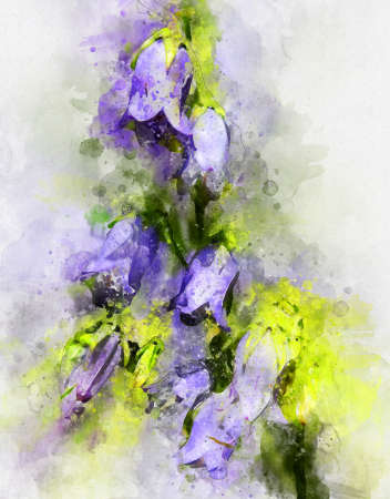 Watercolor painting of pink marsh orchid (Dactylorhiza majalis)の写真素材