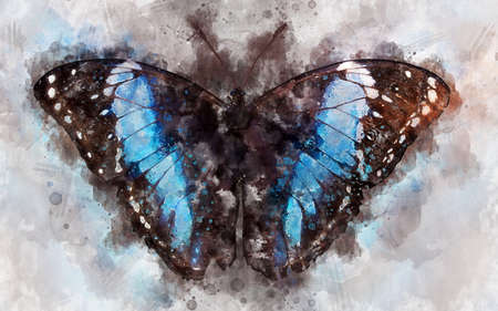 Watercolor illustration of exotic morpho butterflyの写真素材