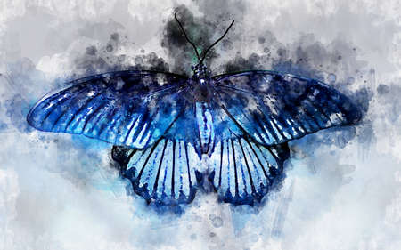 Watercolor illustration of exotic great Mormon butterfly (Papilio memnon)の写真素材
