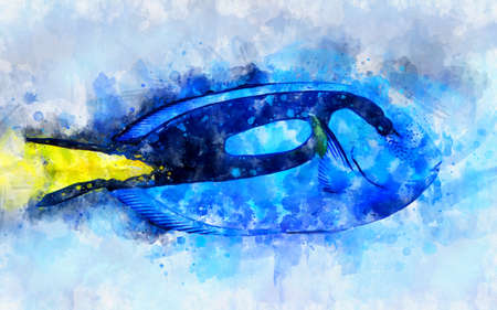 Watercolor illustration of tropic palette surgeonfish (Paracanthurus hepatus)の写真素材