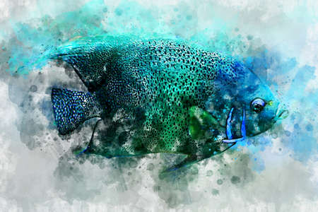 Watercolor illustration of tropic blue green reef fishの写真素材