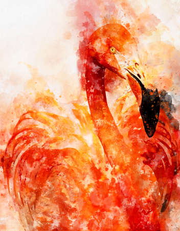 watercolor painting of exotic bird American flamingo.の写真素材