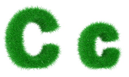 High resolution grass font isolated on white backgroundの写真素材