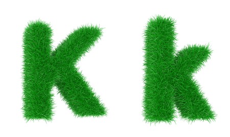 High resolution grass font isolated on white backgroundの写真素材
