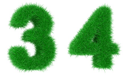 Digits from a grass isolated on a white backgroundの写真素材
