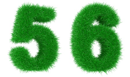 Digits from a grass isolated on a white backgroundの写真素材