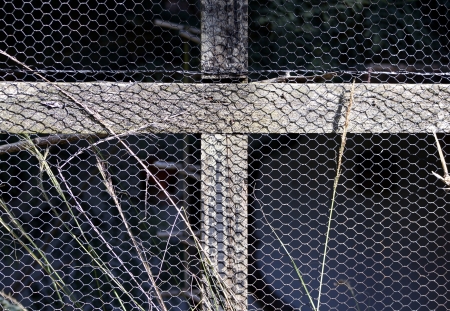 A closeup of a section of a bird aviary made with a wooden frame and bound in wire mesh on a dark backgroundの写真素材