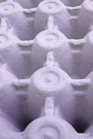 An extreme closeup of a section of a pale purple cardboard egg box