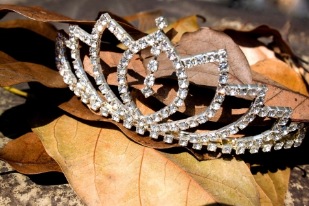 diamonds in the rough concept with tiara lying on top of autumn leavesの写真素材