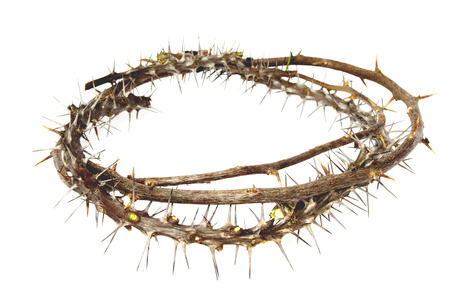 Branches of thorns woven into a crown depicting the crucifixion of Christ on an white backgroundの写真素材
