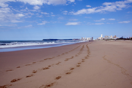 footprints in sand with city in Distanceの写真素材
